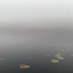 .Justa-C.  Long Time No See