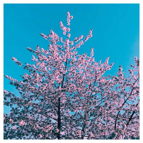 My Secret Garden Pt. 5 (Vinyl Only)