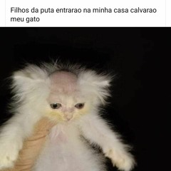 uvasco
