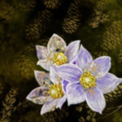 14 Glimmers Of Spring In The Dark