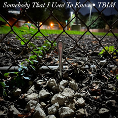 Somebody That I Used To Know (Cover)