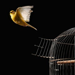 Виталий Будяк