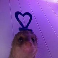 Nunca es suficiente cover luvjenax