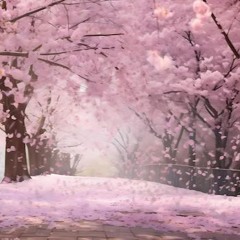 Sakura Sakura Remake