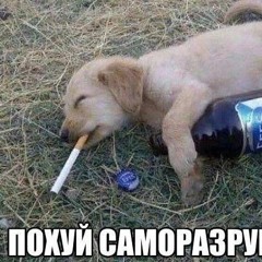 пародия на даера извини даер) [W00P NE9 +OBASFALT грязная сучка]☹️ #jumpstyle #dayerteq