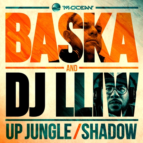 Artwork for the song Shadow by Baska DnB by Baska DnB on Next Sound
