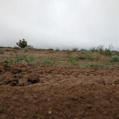 Good Soil