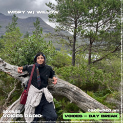 Wispy w/ Willow - 26/08/25 - [Voices Radio]