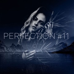 PERFECTION #11