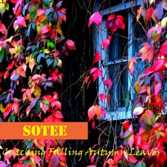Catching Falling Autumn Leaves