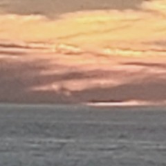 JohnE vs Monkey - Tides In Hard