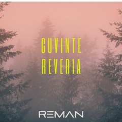 ReMan - Cuvinte (Original Mix)