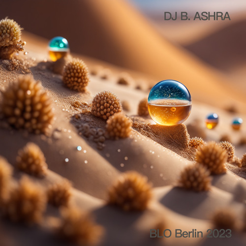 DJ B. Ashra - BLO Berlin 2023