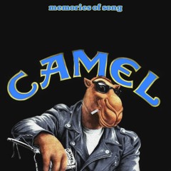 Camel mix