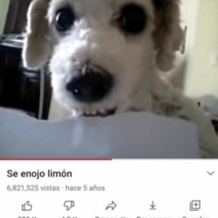 SHINE TRASH EXCLUSIVE EL VIRTUAL - TOKEDEKEDA 2020