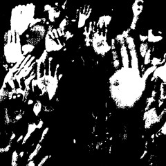 KX0 - TO HAVE AND HAVE NOT