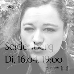 20240416 // [sic]nal w/ Seidenberg