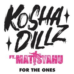 For The Ones ft. Matisyahu (prod. by Sam Barsh x Snowball Beats)
