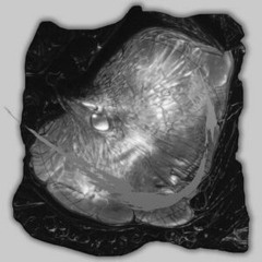 Skrillex, Hamdi, TAICHU & OFFAIAH - Push (Qloudz Bootleg)