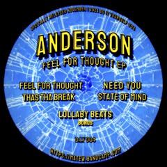 Premiere : Anderson - Feel For Thought (D.I.Y.004)