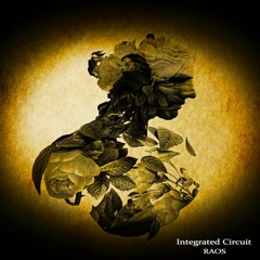Integrated Circuit ( Original Mix ) 📀 Puntazo Label Records 📀