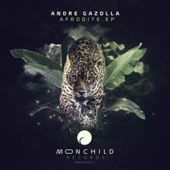 PREMIERE: Andre Gazolla - Afrodite [Moonchild Records]