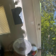 they live in the walls