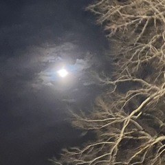 THRAXX Moon ic3m4ne Nuerobliss Jinx sleepin【𝔭𝔯𝔬𝔡. ℑ𝔠3𝔪4𝔫𝔢】