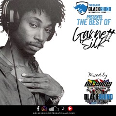 The Best Of Garnett Silk Mix