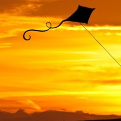 Kite