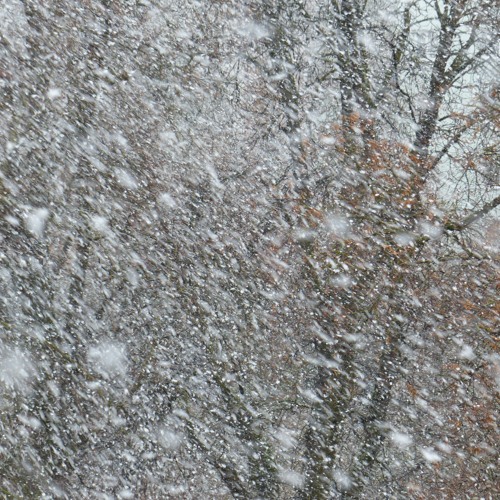 NIX (2023) - Texas New Music Ensemble