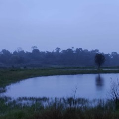 Ve Mahi - Skalappa Cover