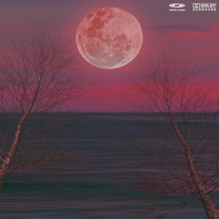STIFLEONE & YAGAMI - Evidence