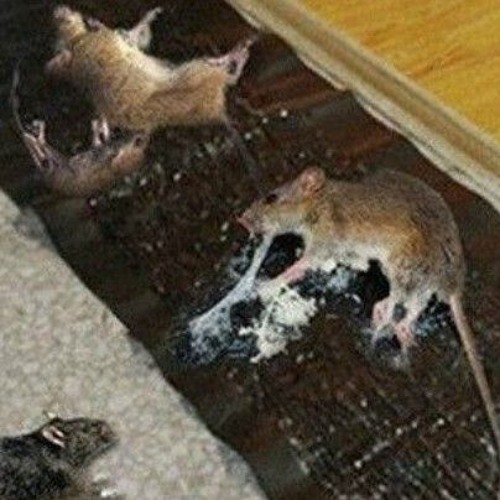 Consumed by pride (wrekk)