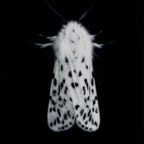 * bugz *{@jam***@jamn***@kersie}