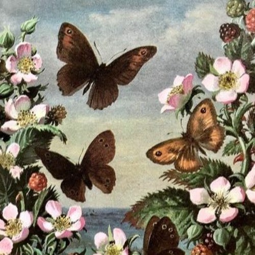 GOD'S CHARIOTS(edit)❀