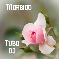 Morbido