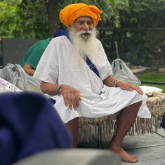ਦਸਤਾਰਬੰਦੀ - ਰੁੱਤ ੧, ਅਧਿਆਏ ੫ (੨੦/੦੮/੧੯੯੫)