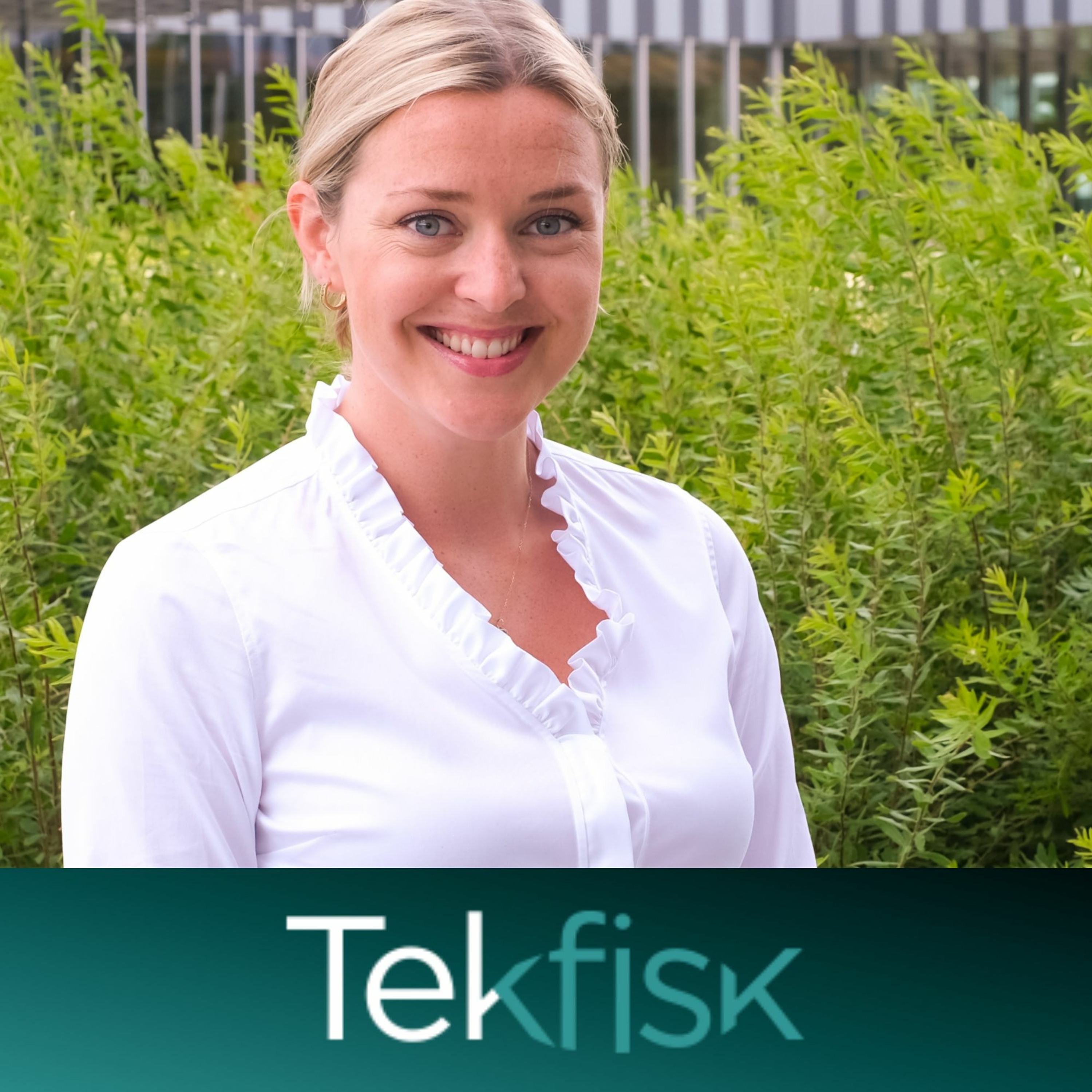 Tekfisk