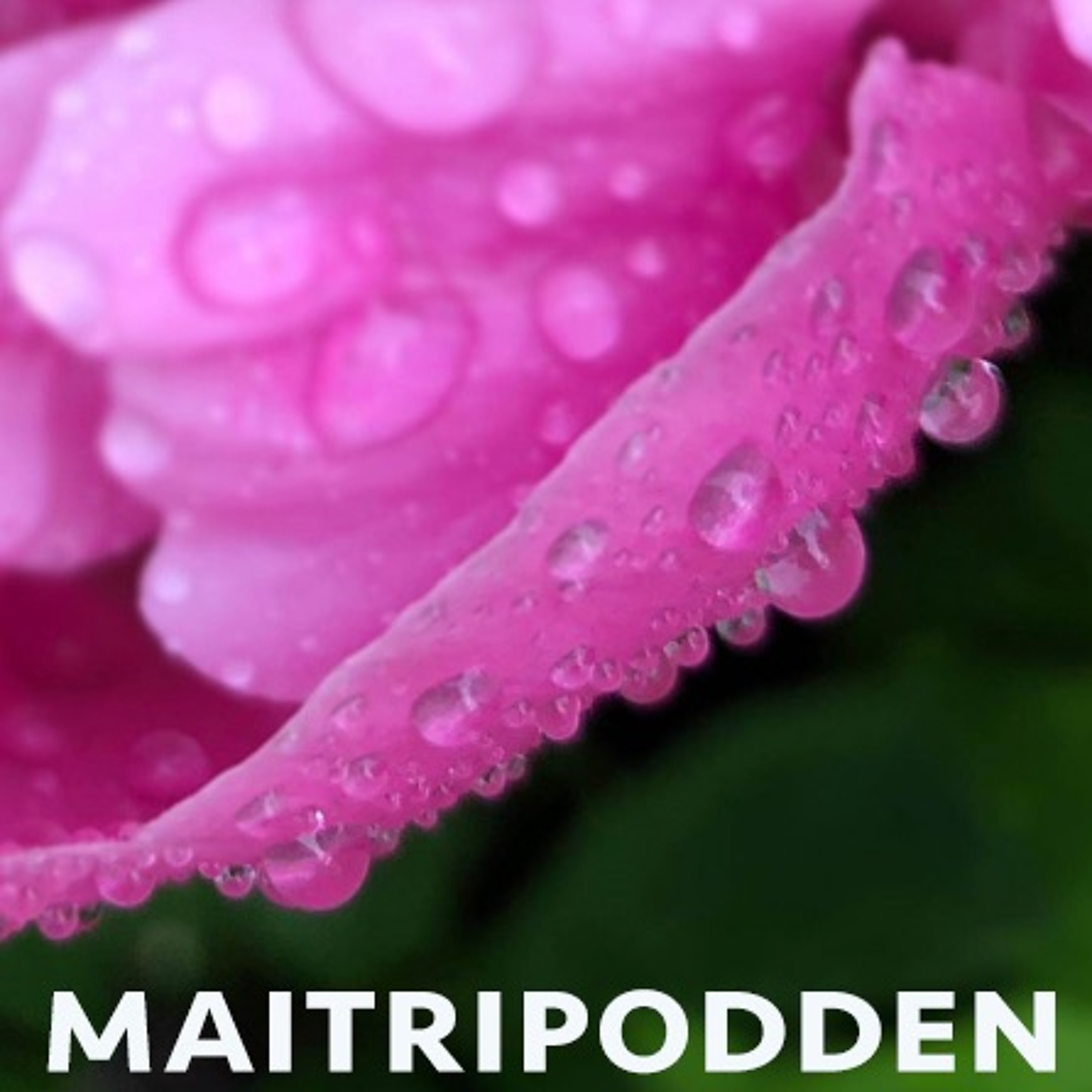 Viryabodhis flöde