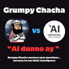 Grumpy Chacha vs AI - Question 12.