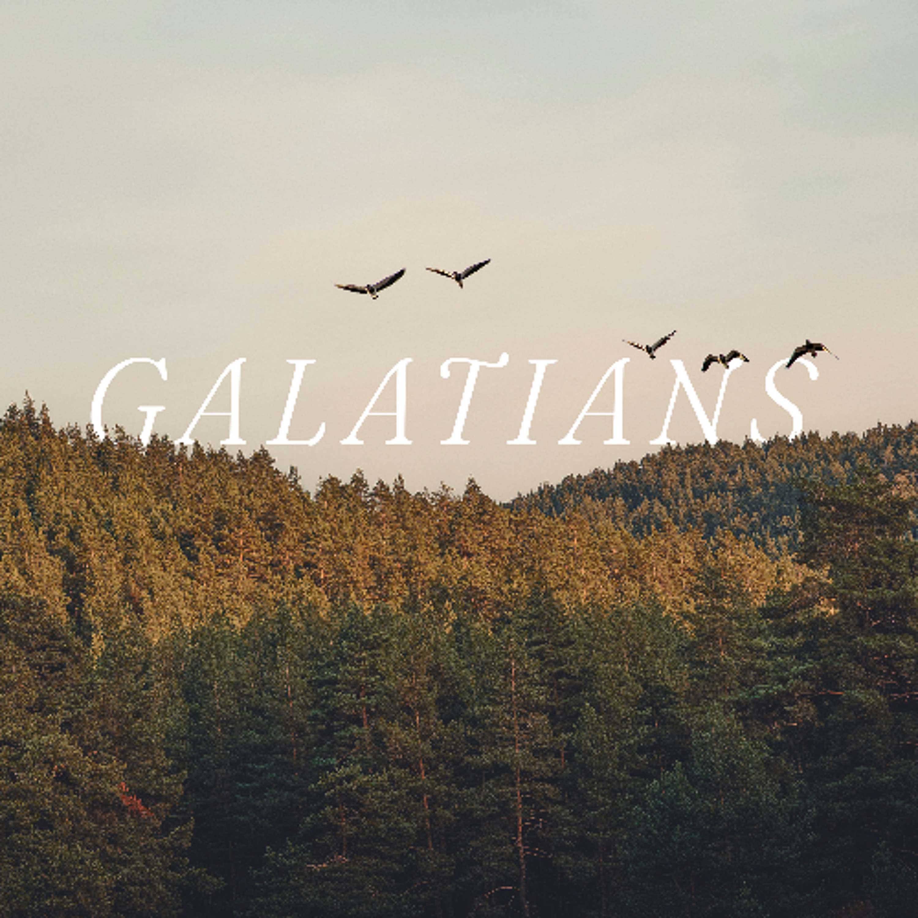 Galatians 5:13-26 episode artwork