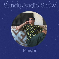 Sundu Radio Show - Pinigai #13
