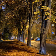 Вірш. Дмитро Поет. Осінь. UKR