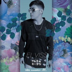 PARADISO LiveSet  ( El Viss )