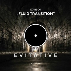 DJ B500 - Fluid Transition [EVITA 047]