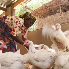 JARIDA LA HABARI ZA UN 04 OCTOBA 2023 NA ASSUMPTA MASSOI