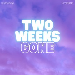 Two Weeks Gone