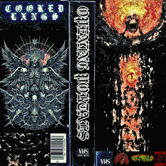 COOKEDLXNGS - OPENING PORTALS [PROD. STRAXXVIOLENCI]