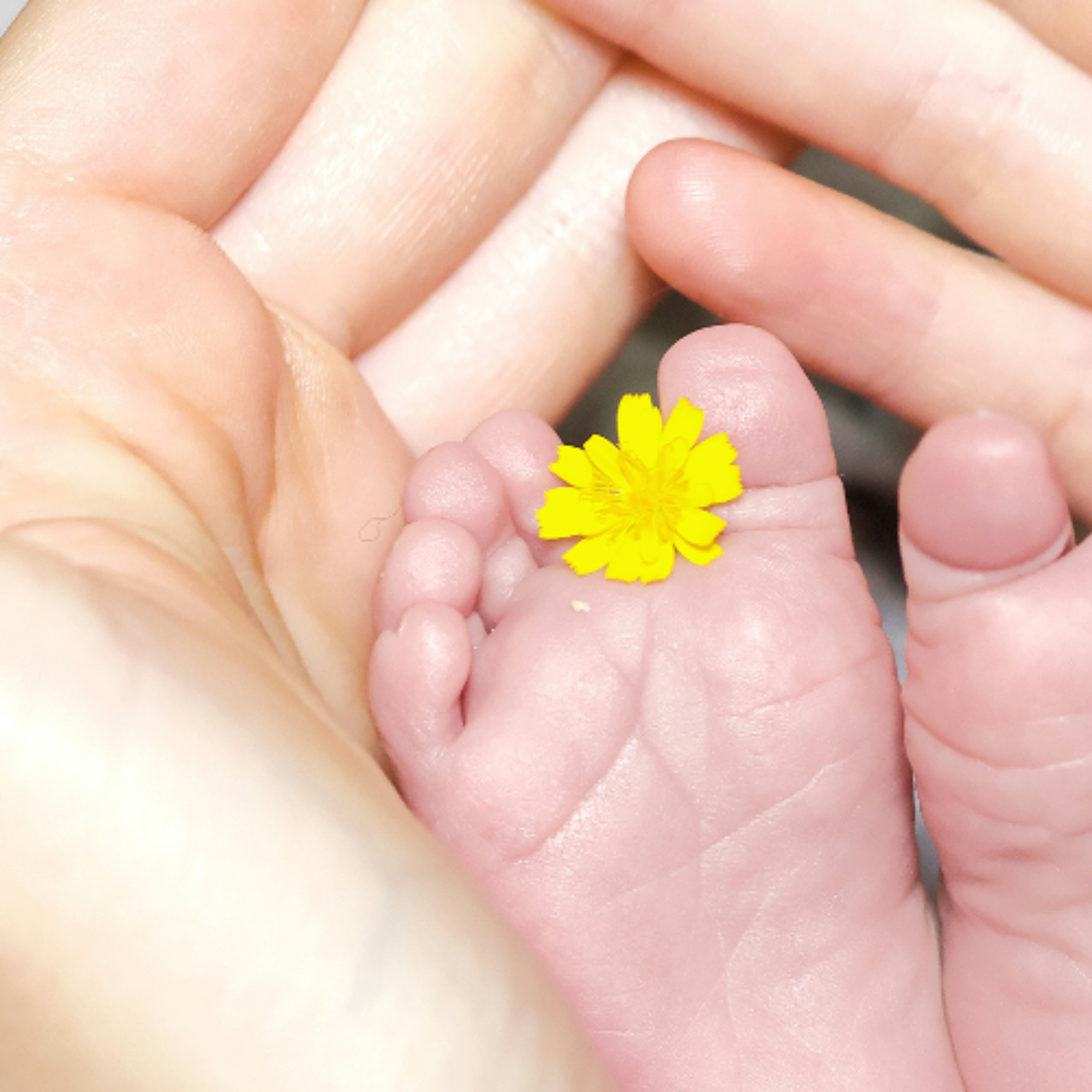 Sternenkinder & der Verein Kinder des Himmels e.V. Sternenkinder & der Verein Kinder des Himmels e.V.